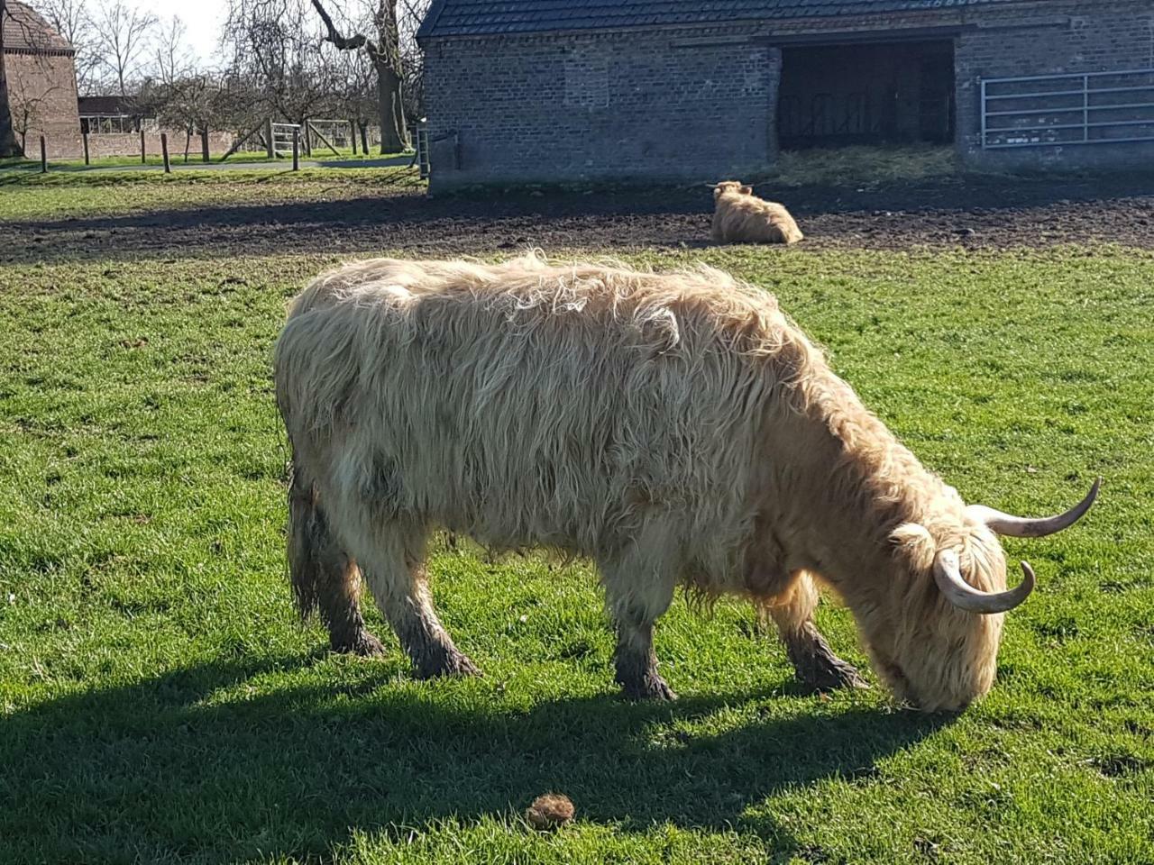 DOMizil Xanten Esterno foto